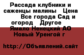 Рассада клубники и саженцы малины › Цена ­ 10 - Все города Сад и огород » Другое   . Ямало-Ненецкий АО,Новый Уренгой г.